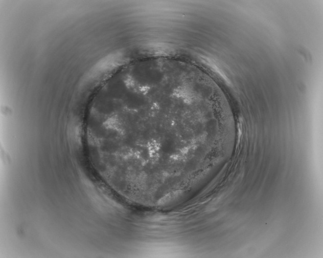 X0000091190643200708091250