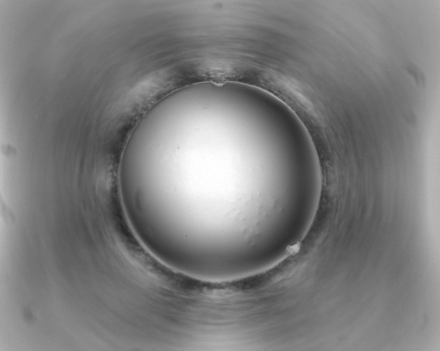 X0000091190645200708091250