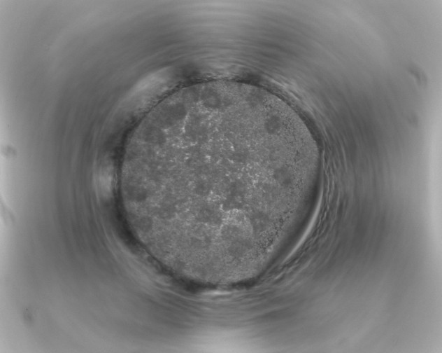 X0000091190647200708091250