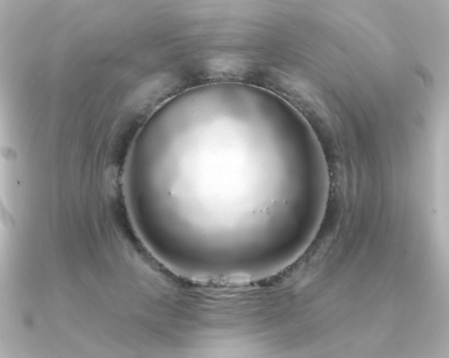 X0000091190649200708091250