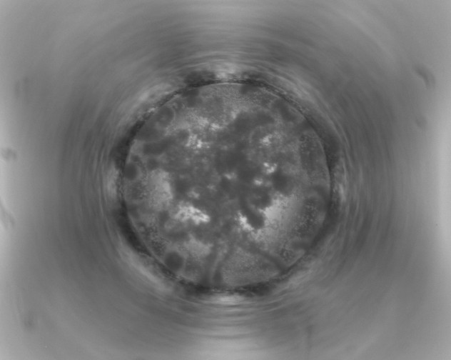 X0000091190650200708091250