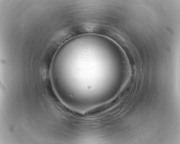 X0000091190651200708091250