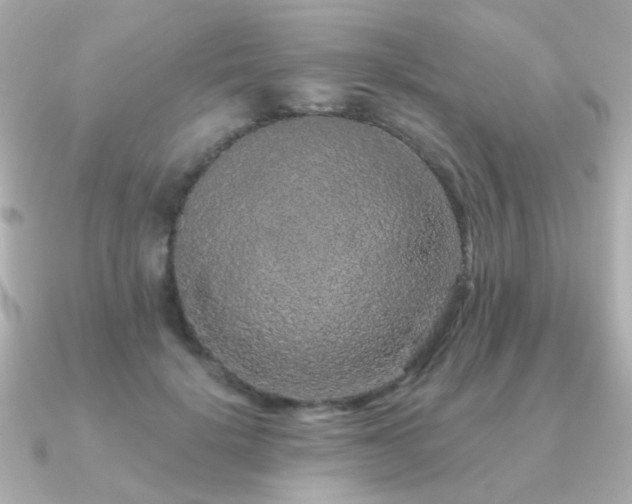 X0000091190652200708091250