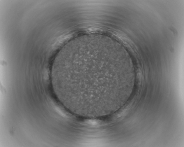 X0000091190654200708091250