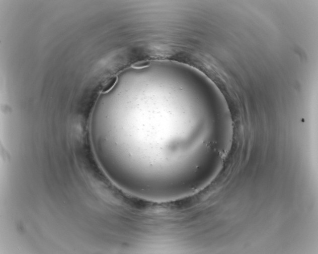 X0000091190655200708091250