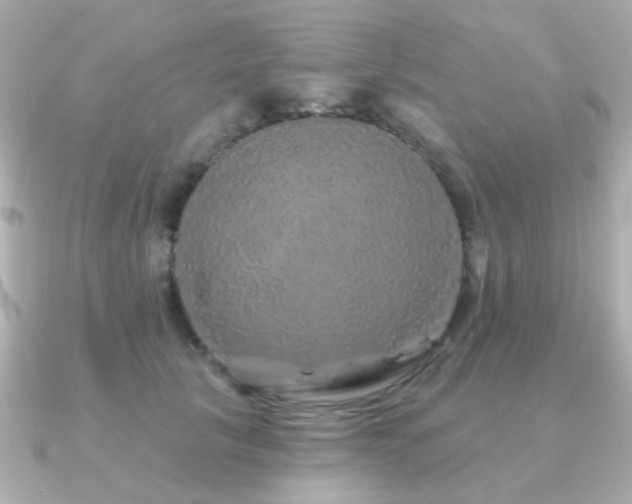 X0000091190657200708091250