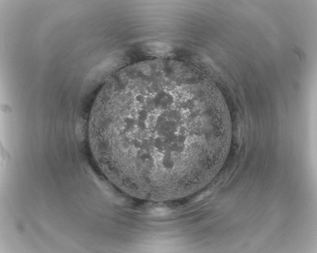 X0000091190658200708091250