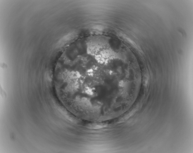 X0000091190661200708091250