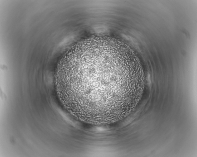 X0000091190662200708091250