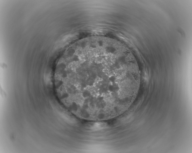 X0000091190663200708091250
