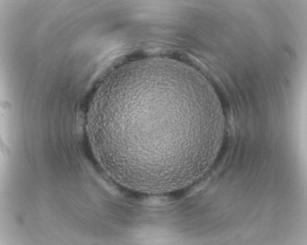 X0000091190664200708091250