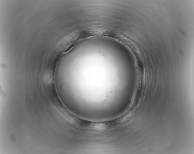 X0000091190665200708091250