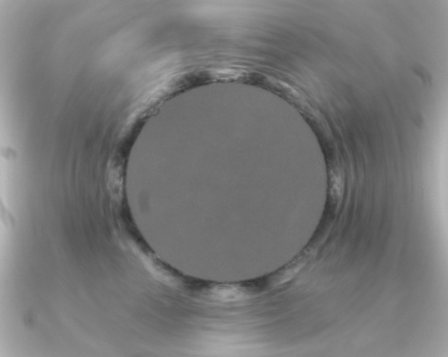 X0000091190666200708091250
