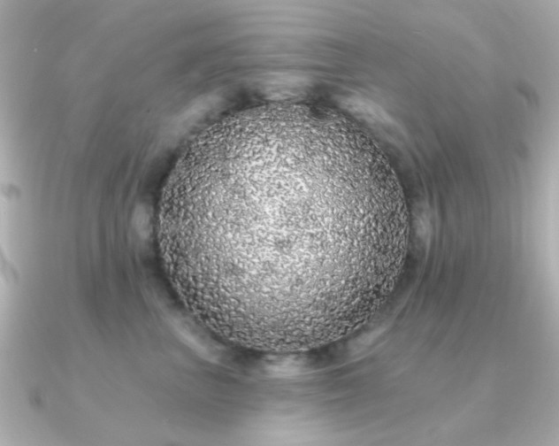 X0000091190667200708091250