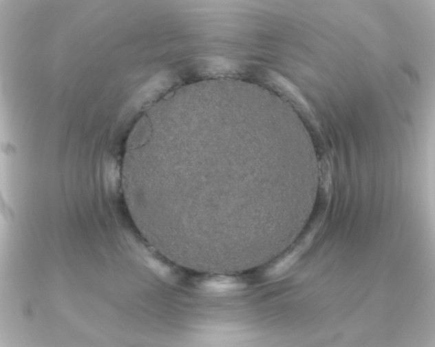 X0000091190669200708091250