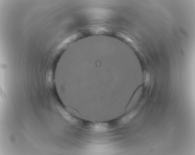 X0000091190670200708091250