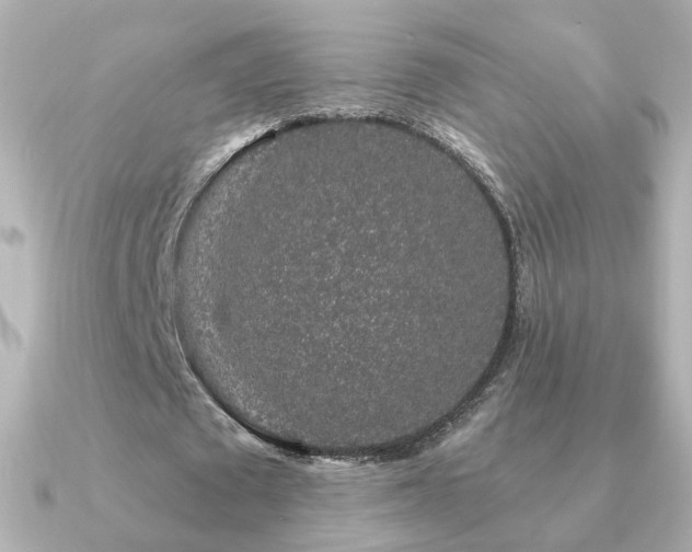 X0000091190673200708091250