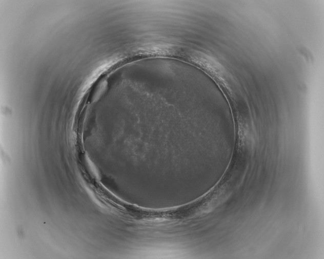 X0000091190674200708091250
