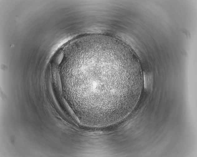 X0000091190675200708091250