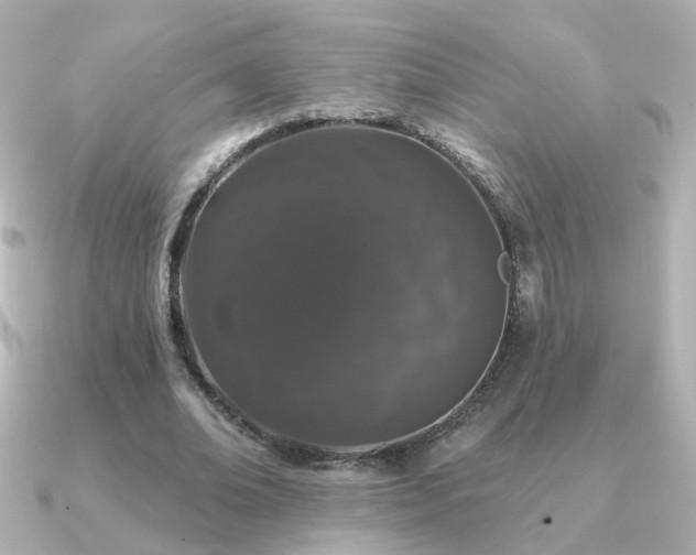 X0000091190678200708091250