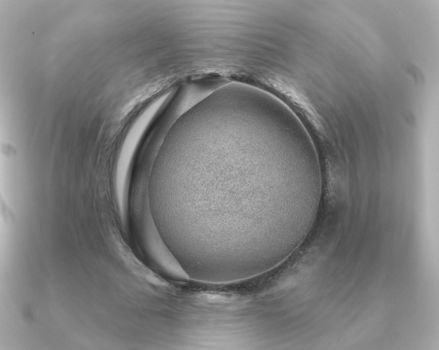 X0000091190681200708091250