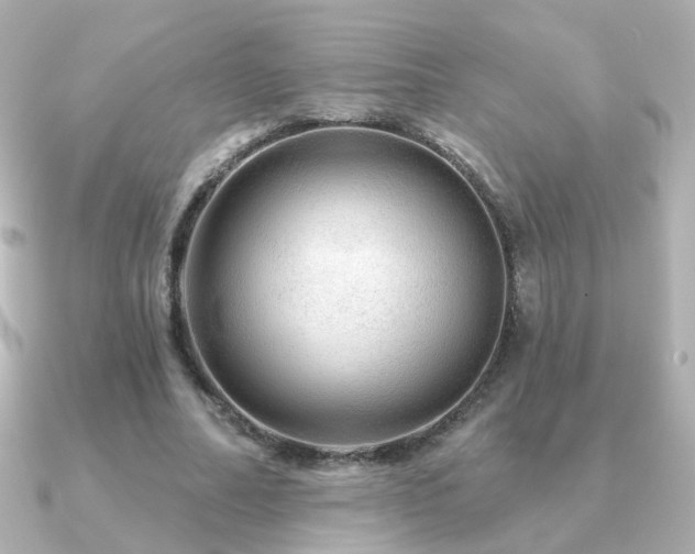 X0000091190682200708091250