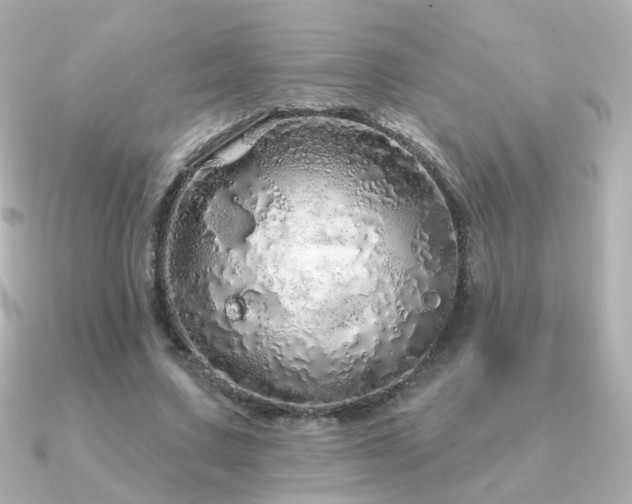 X0000091190683200708091250