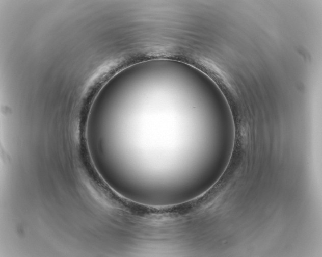 X0000091190686200708091250