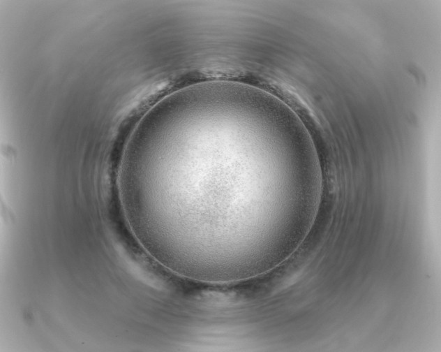 X0000091190690200708091249