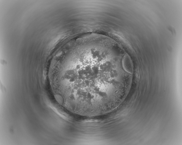 X0000091190691200708091249