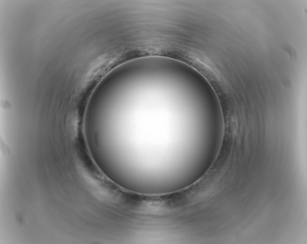 X0000091190694200708091249