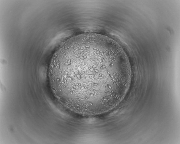 X0000091190695200708091249