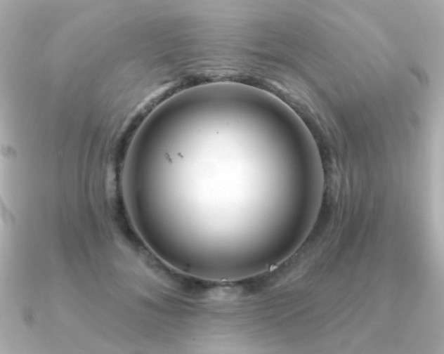 X0000091190700200708091249