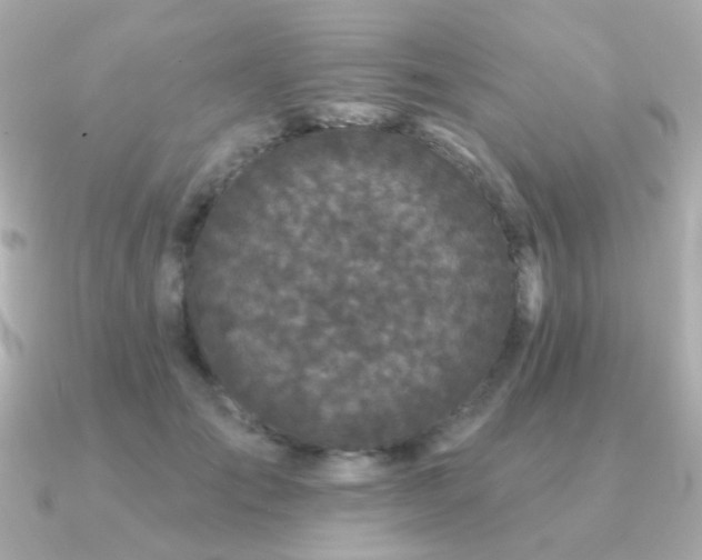 X0000091190701200708091249