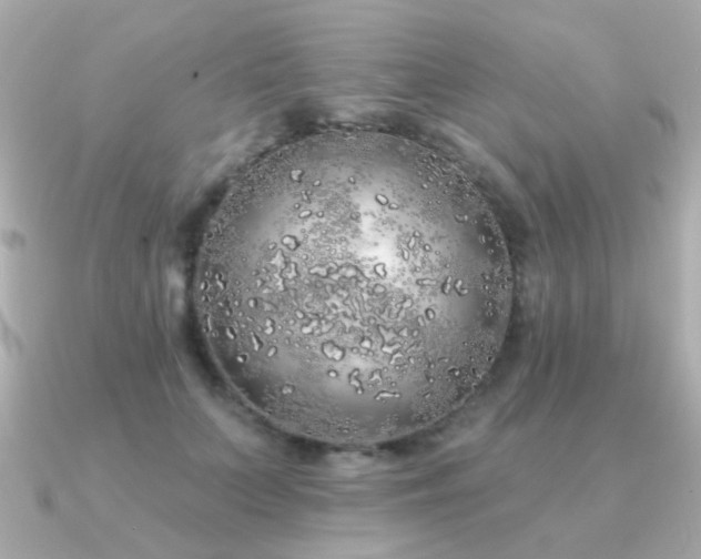 X0000091190703200708091249