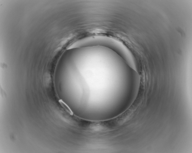 X0000091190704200708091249