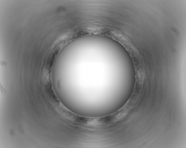 X0000091190705200708091249