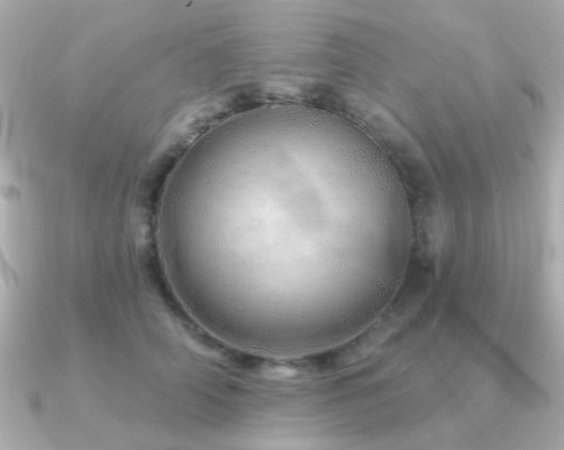 X0000091190706200708091249