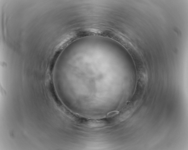 X0000091190707200708091249