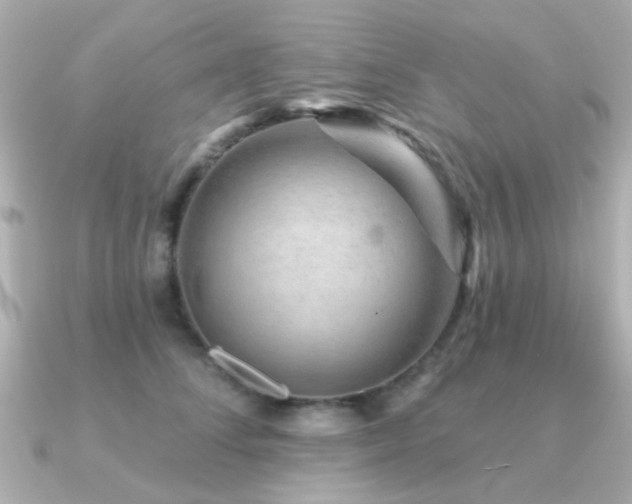 X0000091190708200708091249