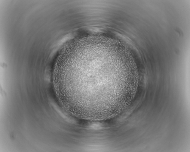 X0000091190710200708091249