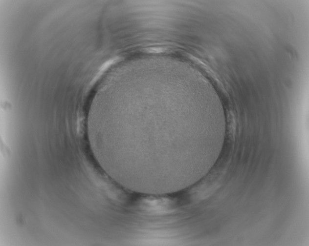X0000091190712200708091249