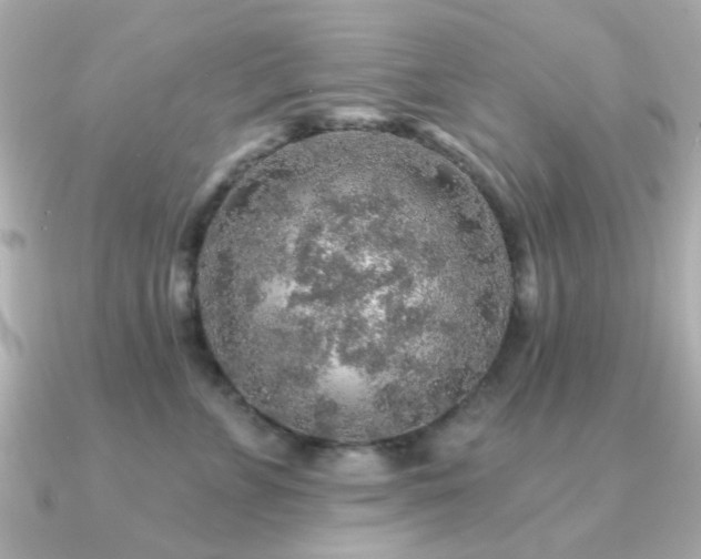X0000091190715200708091249