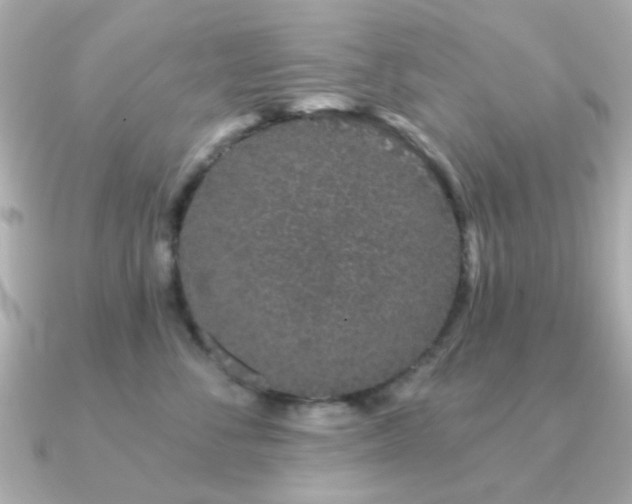 X0000091190716200708091249
