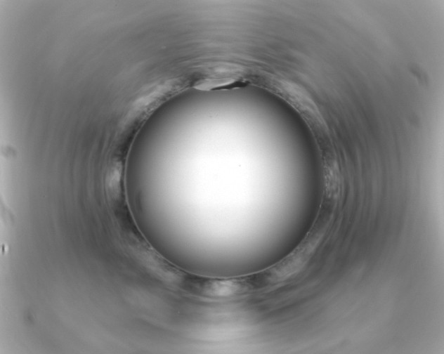 X0000091190717200708091249