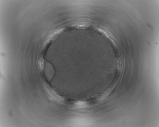 X0000091190718200708091249