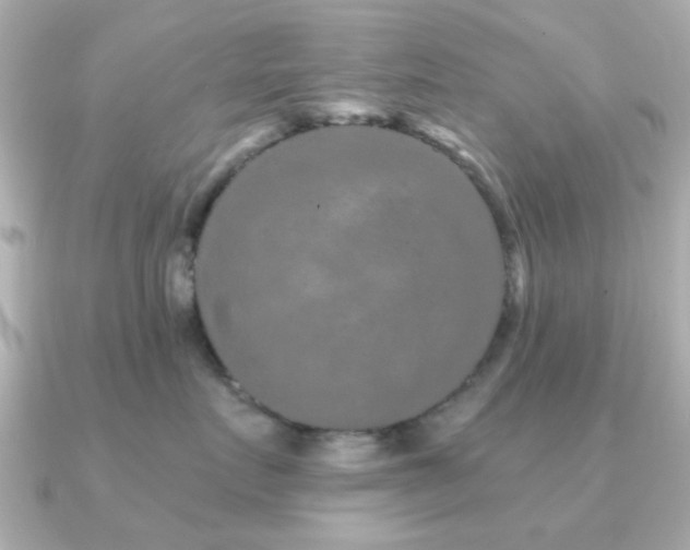 X0000091190719200708091249
