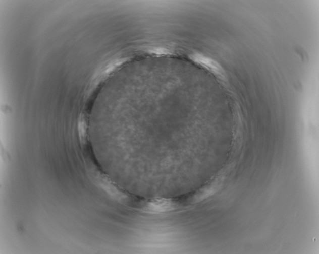 X0000091190720200708091249
