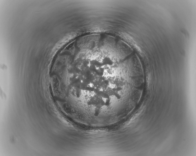 X0000091190721200708091249