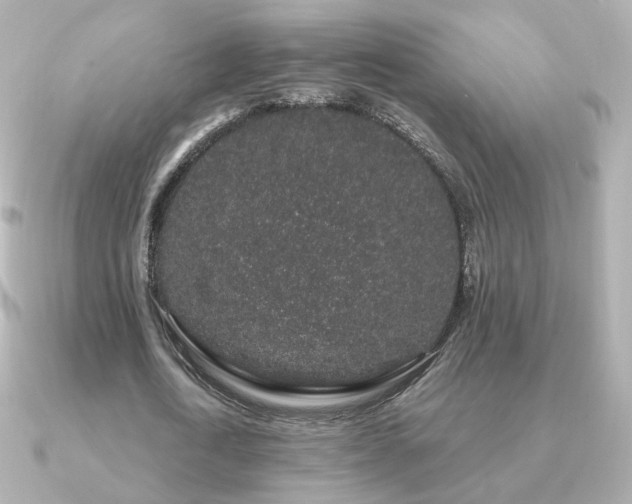 X0000091190722200708091249